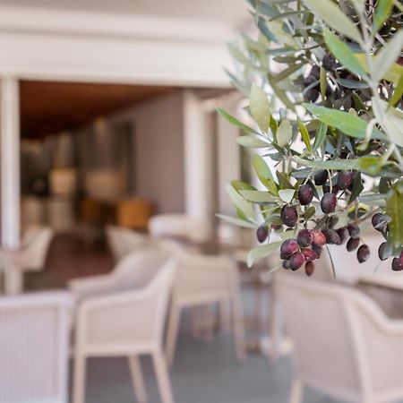 Paul Marie Hotel Apartments Αγία Νάπα Εξωτερικό φωτογραφία