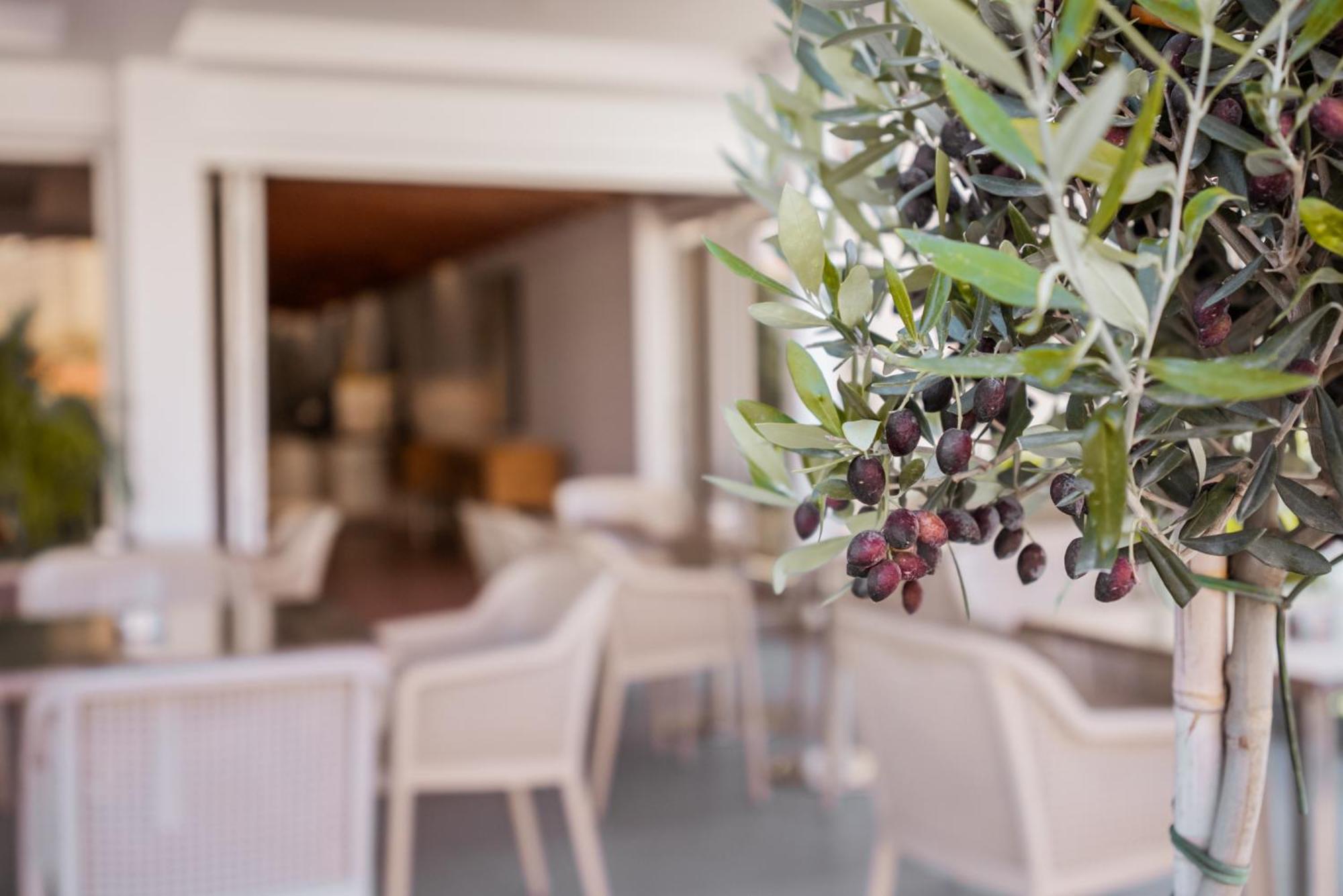 Paul Marie Hotel Apartments Αγία Νάπα Εξωτερικό φωτογραφία